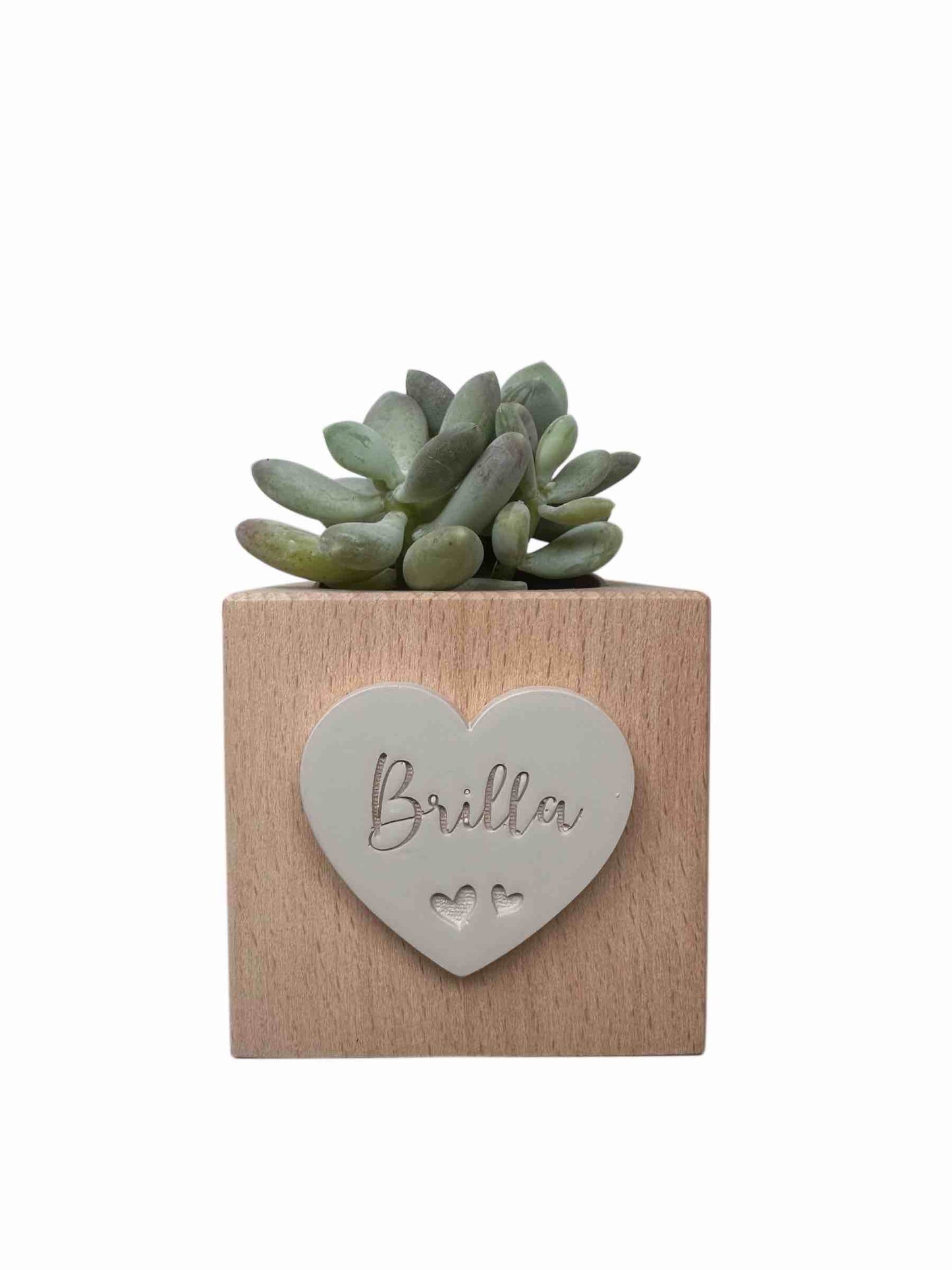 CUBETTO Brilla per piantina