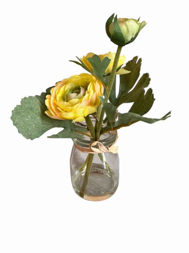 Vasetto Ranuncolo Giallo