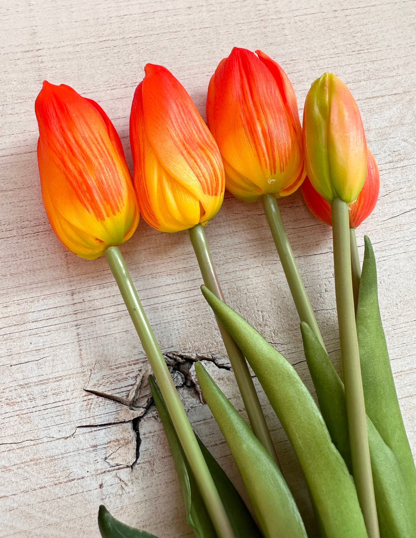 MAZZO DI TULIPANI 40 cm Arancio Screziato